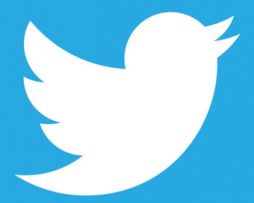 Comprar 100 VOTOS para encuestas de Twitter – 100 VOTOS